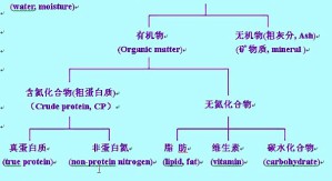 动物营养学（乙）视频教程 吴跃明 24学时 浙江大学