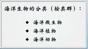 海洋生物学视频教程 杨万喜 31讲 浙江大学
