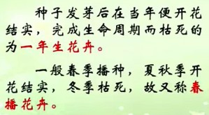 花卉学 夏宜平 40讲 浙江大学
