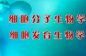 细胞发育生物学视频教程 王金福 27讲 浙江大学