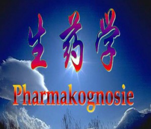 生药学视频教程 姬生国 19讲 郑州大学