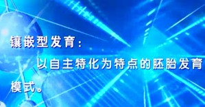 发育生物学视频教程 张志峰 38讲 中国海洋大学