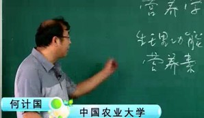 基础营养学视频教程 何计国 66讲 中国农业大学