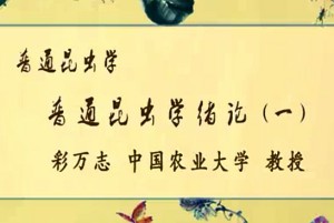 普通昆虫学视频教程 彩万志 49讲 中国农业大学
