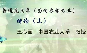 普通昆虫学视频教程 王心丽 31讲 中国农业大学