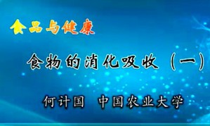 食品与健康视频教程 张列兵 55讲 中国农业大学
