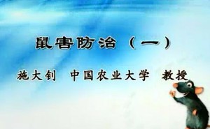 鼠害防治视频教程 施大钊 29讲 中国农业大学