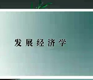 发展经济学 彭刚 89讲 中国人民大学