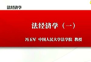 法经济学视频教程 冯玉军 28讲 中国人民大学