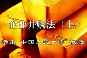 企业并购法视频教程 杨东 2讲 中国人民大学