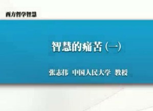 西方哲学智慧视频教程 张志伟 64讲 中国人民大学