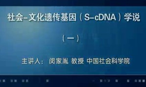 社会 文化遗传基因（S cDNA）学说视频教程 闵家胤 13讲 中国社会科学院
