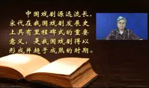 中国宋元明戏曲概说视频教程 金宁芬 108讲 中国社会科学院