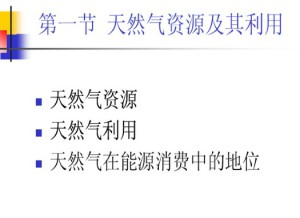 天然气处理与加工视频教程 王云芳 28讲 中国石油大学