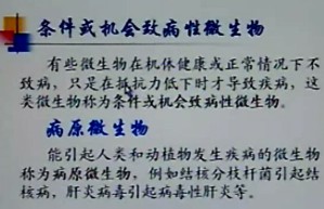 病原生物学视频教程 周正任 36讲 中国医科大学