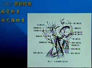 口腔颌面外科学视频教程 白晓峰 16讲 中国医科大学