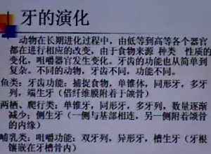 口腔解剖生理学视频教程 李波 20讲 中国医科大学