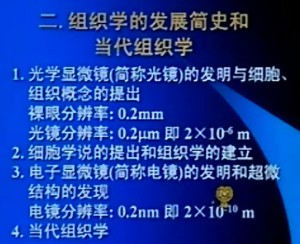 人体组织学与胚胎学视频教程 侍继忠 42讲 中国医科大学