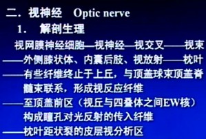 神经病学视频教程 张朝东 24讲 中国医科大学