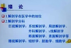 系统解剖学视频教程 曹郁琦 48讲 中国医科大学