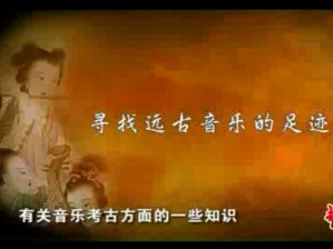 音乐考古视频教程 王子初 32讲 中国艺术研究院