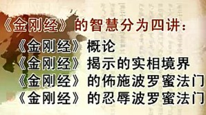 《金刚经》的智慧视频教程 冯焕珍 17讲 中山大学