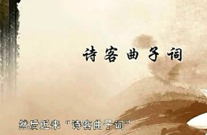 词学研究专题视频教程 彭玉平 15讲 中山大学
