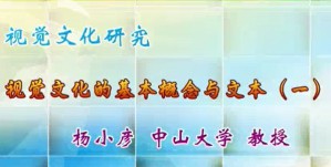 视觉文化研究视频教程 杨小彦 20讲 中山大学