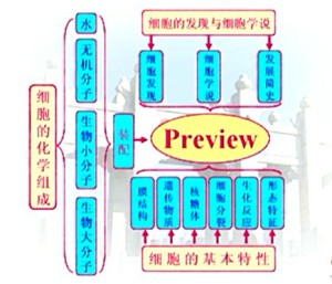 细胞生物学视频教程 王金发 12讲 中山大学