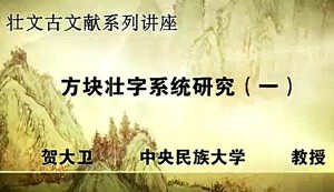 壮文古文献系列讲座视频教程 贺大卫 14讲 中央民族大学