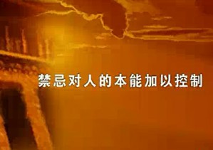 宗教禁忌视频教程 何其敏 11讲 中央民族大学