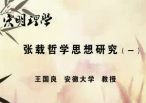 宋明理学视频教程 王国良 28讲 安徽大学