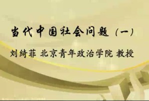 当代中国社会问题视频教程 刘绮菲 49讲 北京青年政治学院