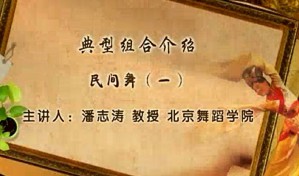 典型组合介绍视频教程 潘志涛 28讲 北京舞蹈学院