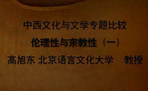 中西文化与文学专题比较视频教程 高旭东 39讲 北京语言大学