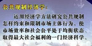 公共规制经济学视频教程 王雅莉 16讲 东北财经大学