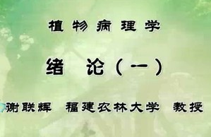 加拿大农业部 植物病理学视频教程 王爱民 刘国坤 78讲 福建农林大学