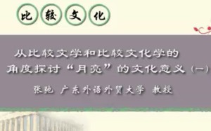 比较文化视频教程 张弛 45讲 广东外语外贸大学