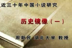 近三十年中国小说研究视频教程 周新民 22讲 湖北大学