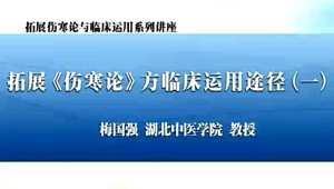 拓展《伤寒论》与临床运用视频教程 梅国强 45讲 湖北中医药大学