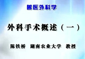 兽医外科学视频教程 陈铁桥 37讲 湖南农业大学