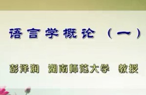 语言学概论视频教程 彭泽润 51讲 湖南师范大学