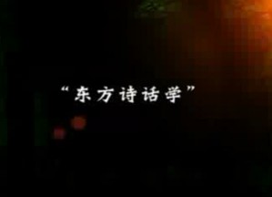 中国诗话研究视频教程 蔡镇楚 40讲 湖南师范大学