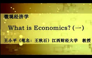 微观经济学视频教程 王秋石 58讲 江西财经大学