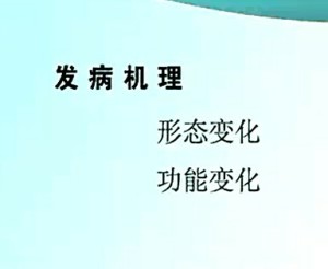 病理生理学视频教程 赵克森 26讲 南方医科大学