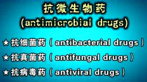 药理学视频教程 雷林生 50讲 南方医科大学