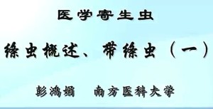 医学寄生虫视频教程 彭鸿娟 30讲 南方医科大学