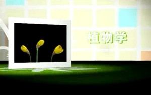 植物学视频教程 强胜 52讲 南京农业大学
