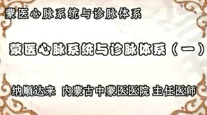蒙医心脉系统与诊脉体系视频教程 纳顺达来 8讲 内蒙古中蒙医院