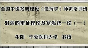 温病的辨证理论及寒温统一论视频教程 牛阳 6讲 宁夏医科大学